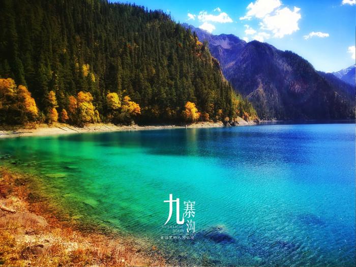 精灵的冒险之旅