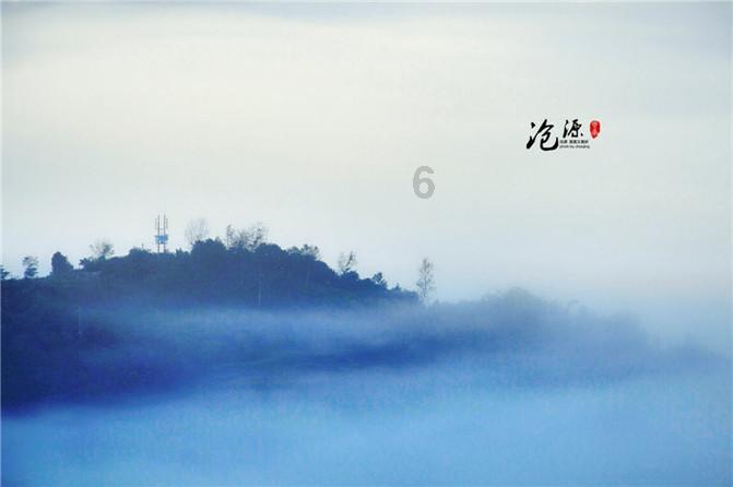 爱吃叶子的毛毛虫