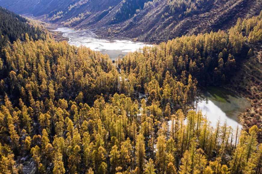 光岳楼650年楼庆,聊城将办成在国内有影响力的重大活动