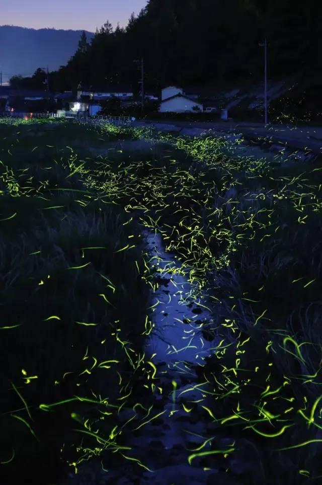 三星堆曾出土青铜树文物，与山海经记载完全一样，难道是巧合？游戏画面