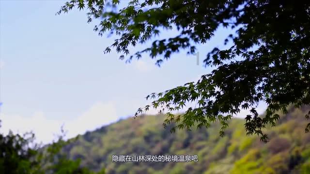 夏日课堂