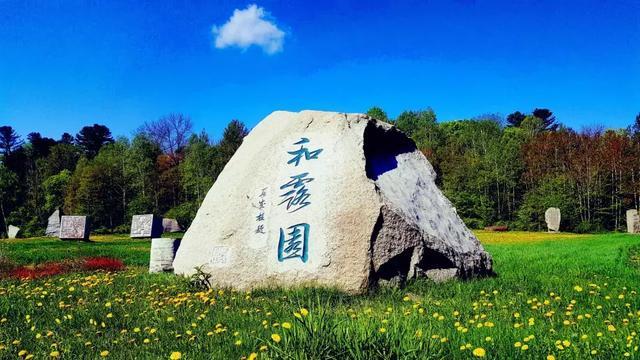吉林省首例!吉大一院完成小儿气膀胱下输尿管膀胱再植术