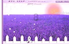 今年春节,洛阳特色民俗活动丰富