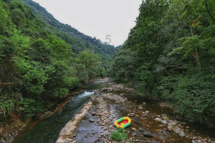 巧虎踢足球2
