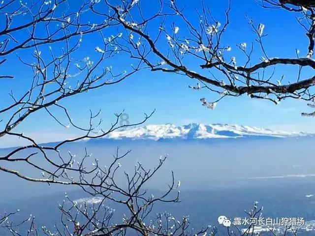 一起捕鱼吧