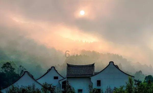 青蛙魔术师