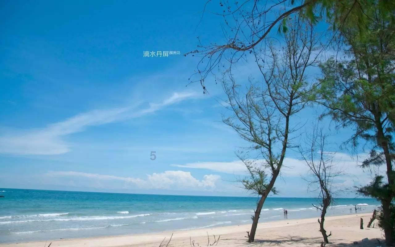 没有西方一样能赢?小特朗普“仗义执言”,反遭乌外长怒怼