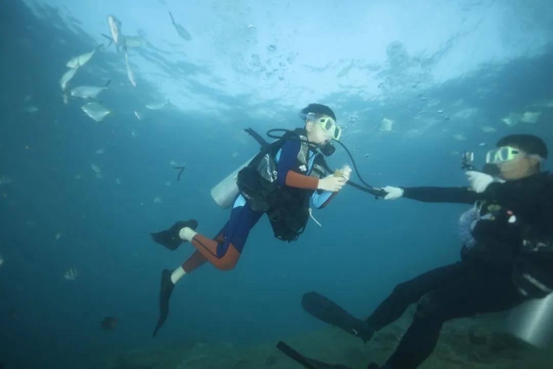 狐狸的旅程