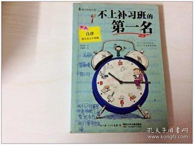 彼得比尔特379拼图