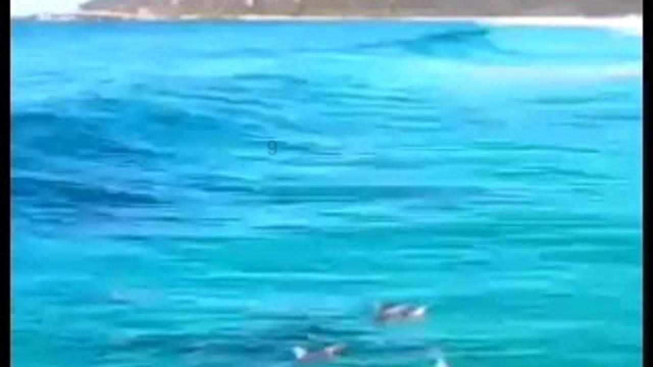 巫师3狂猎