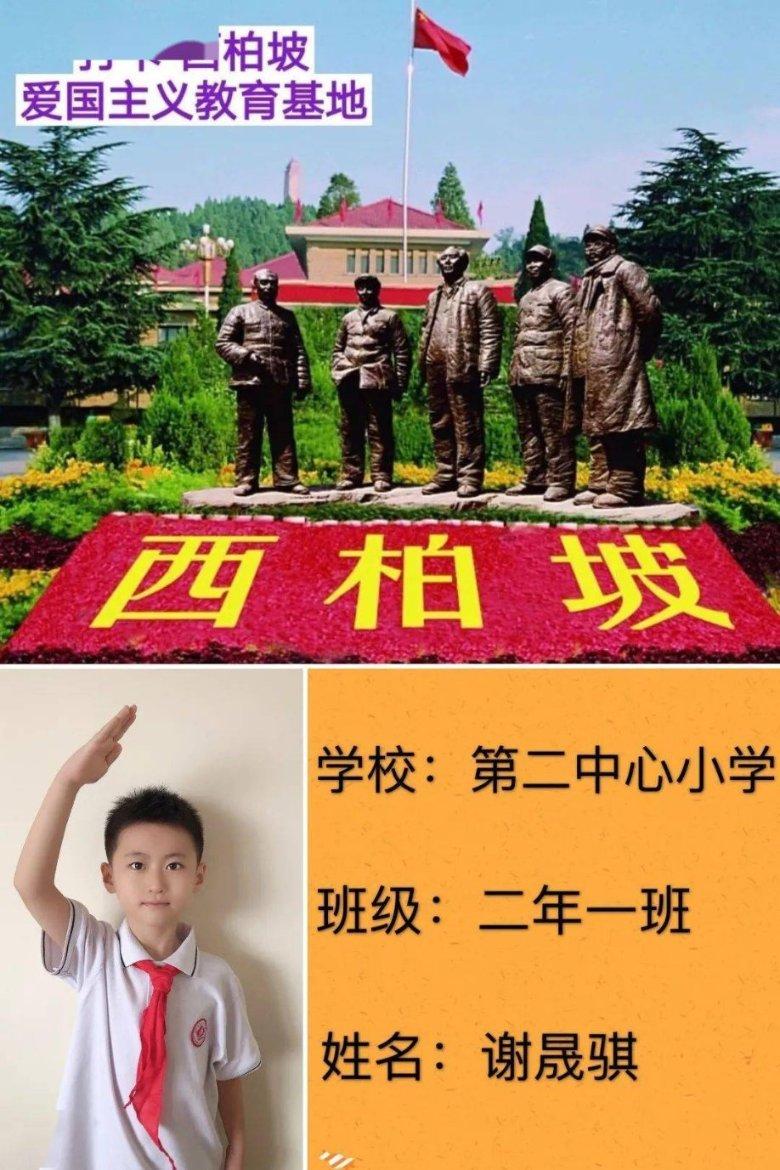 月光影视