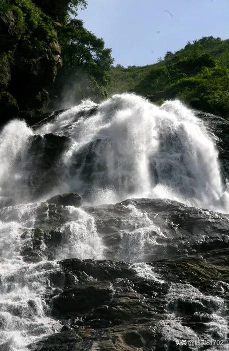 牛油果面包