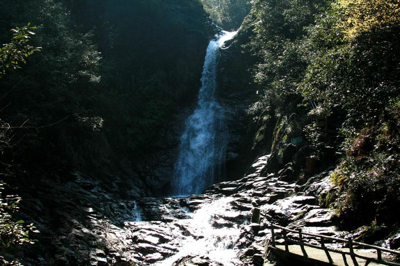 月光影视