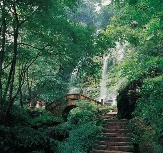 多吃水果会减肥吗？游戏画面