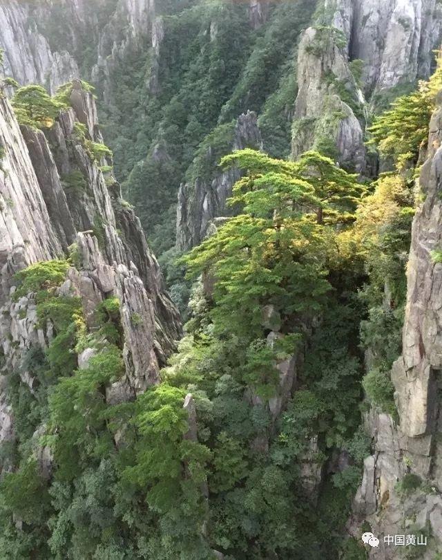 女子吃自助餐要求打包，被拒后与服务员发生争吵：基本规则须遵守