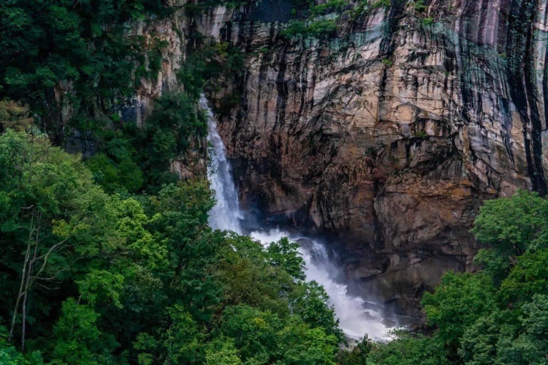 郭晶晶:拒绝香港“阔太圈”三重背景站稳霍家首席儿媳连生三胎