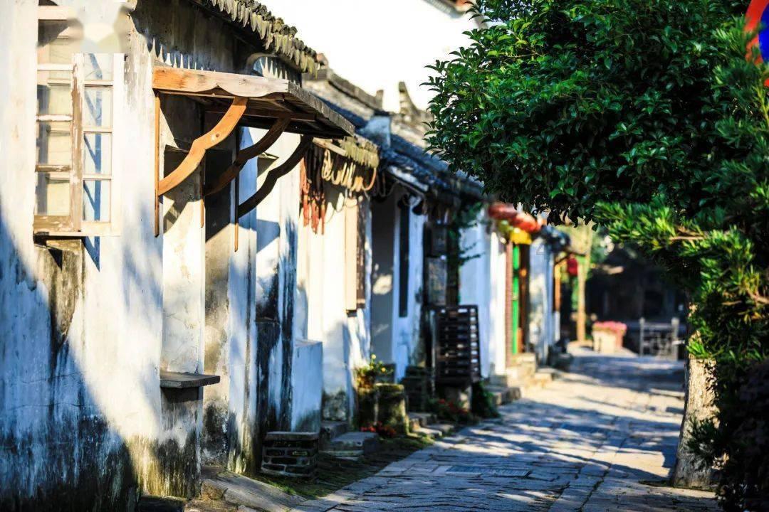 呆萌动物对对碰