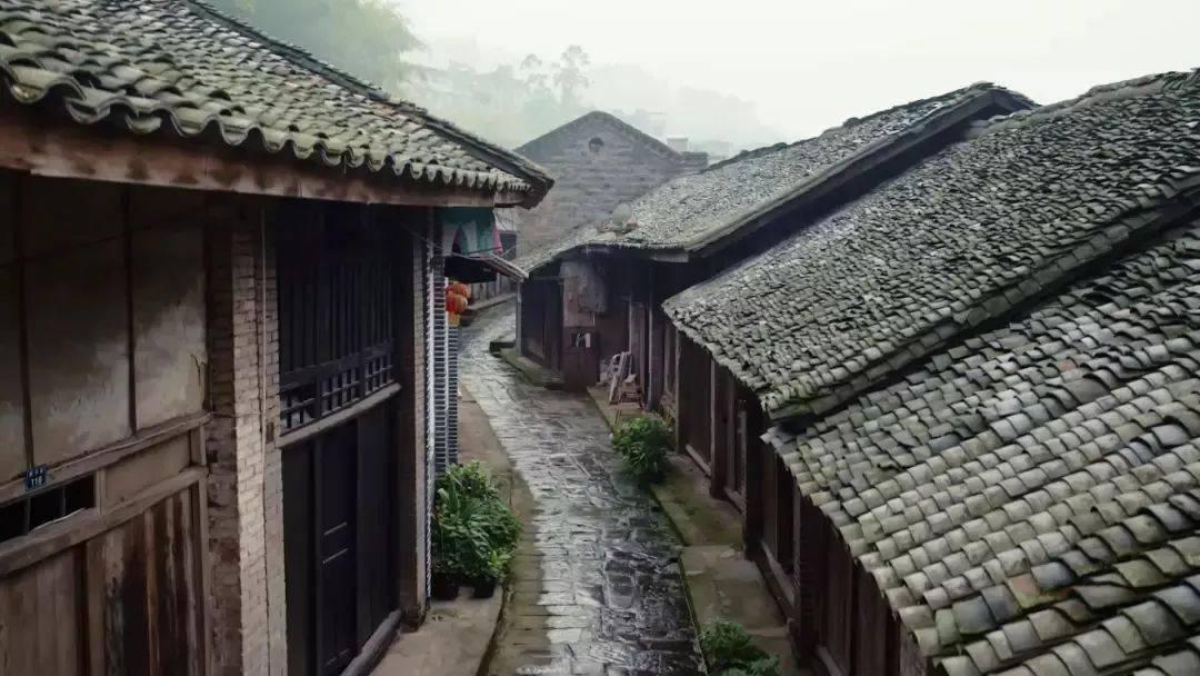 《镜·双城》聚集实力派演员，剧情质感不俗，为何会频频遭网友吐槽？