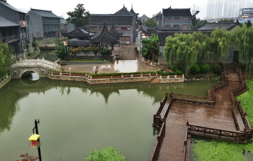 埃利的时装周