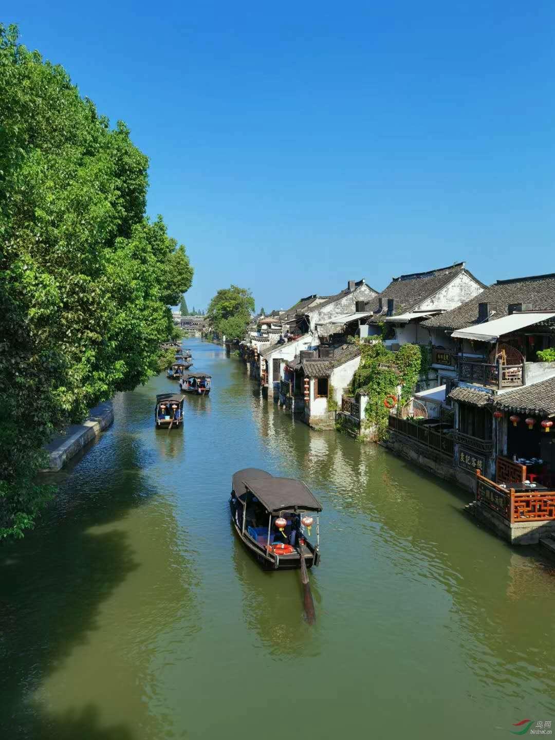 “氢”风徐来 “绿”动澎湃