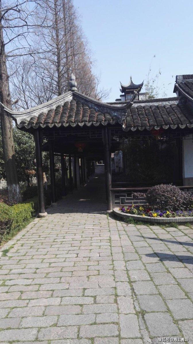 棋子的战争