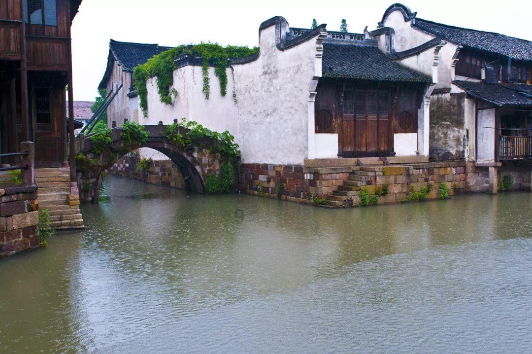 用影像讲述双城故事！第三届成渝大学生影像周颁奖典礼举行