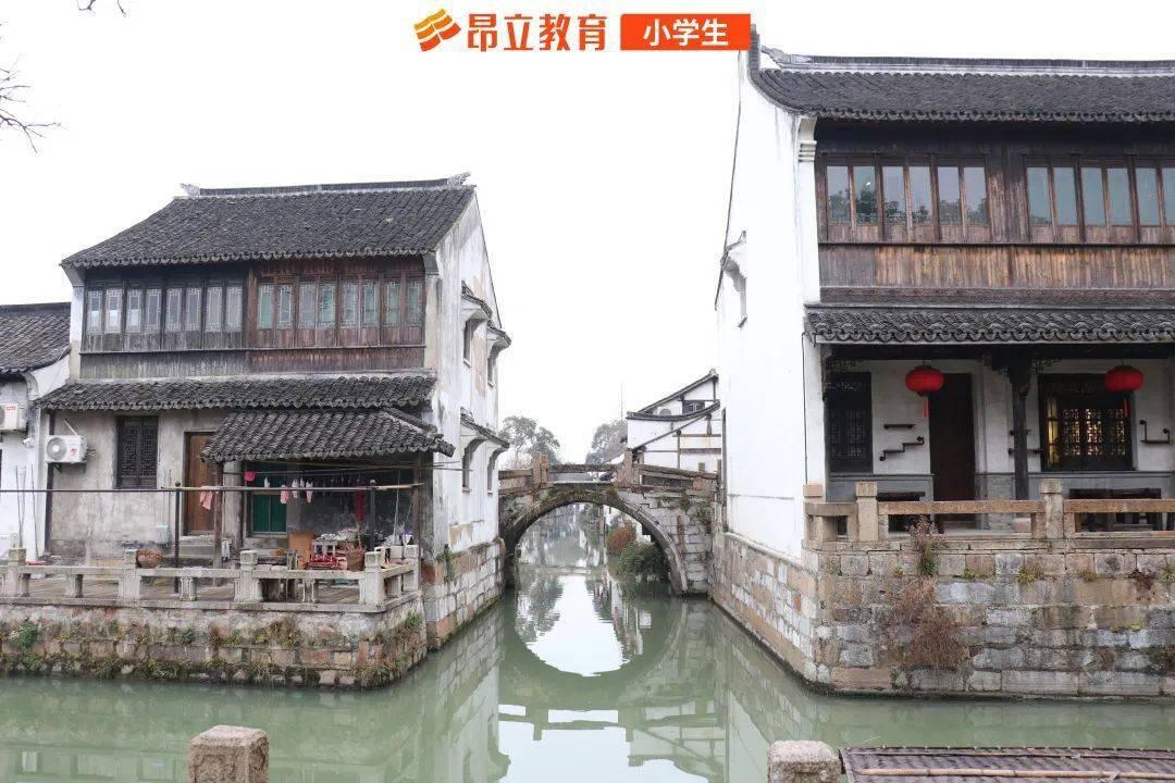 县令刚上任就被屠夫当街臭骂,县令:赏金子十两,几日后屠夫暴毙