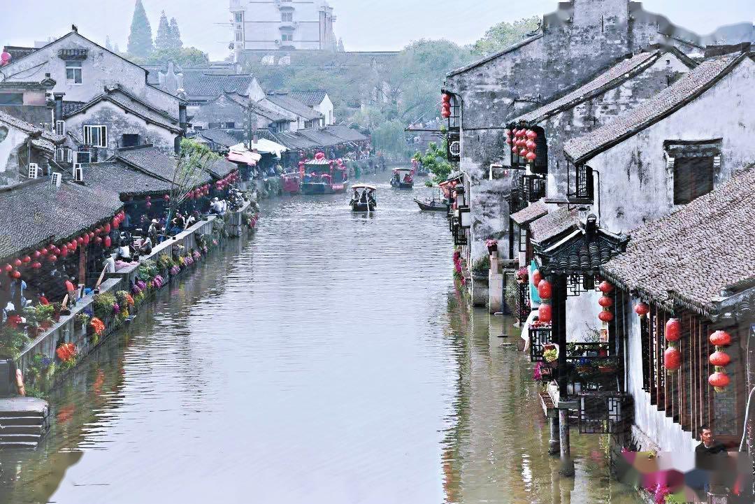 胡萝卜茄子瘦肉粥可以加点波菜叶吗？游戏画面