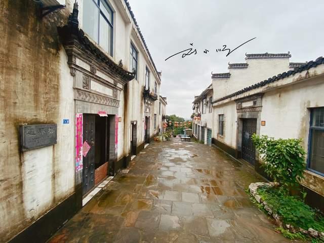 猫猫冒险团