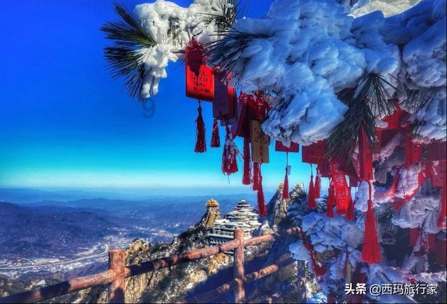 努力向上的铁球